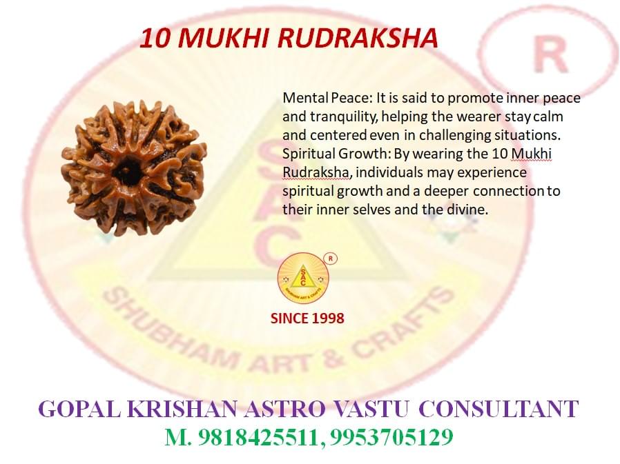 10 Mukhi Rudraksh
